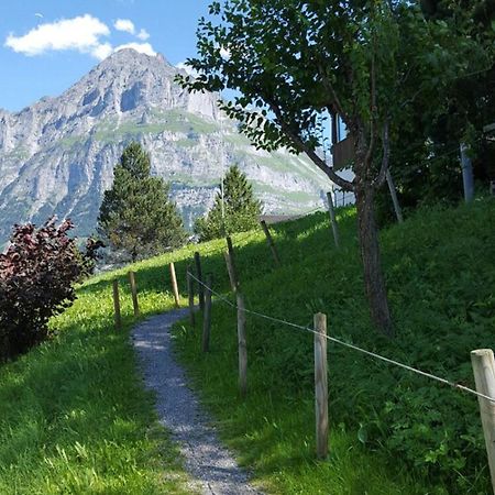 Chalet Waergistal Γκρίντελβαλντ Εξωτερικό φωτογραφία