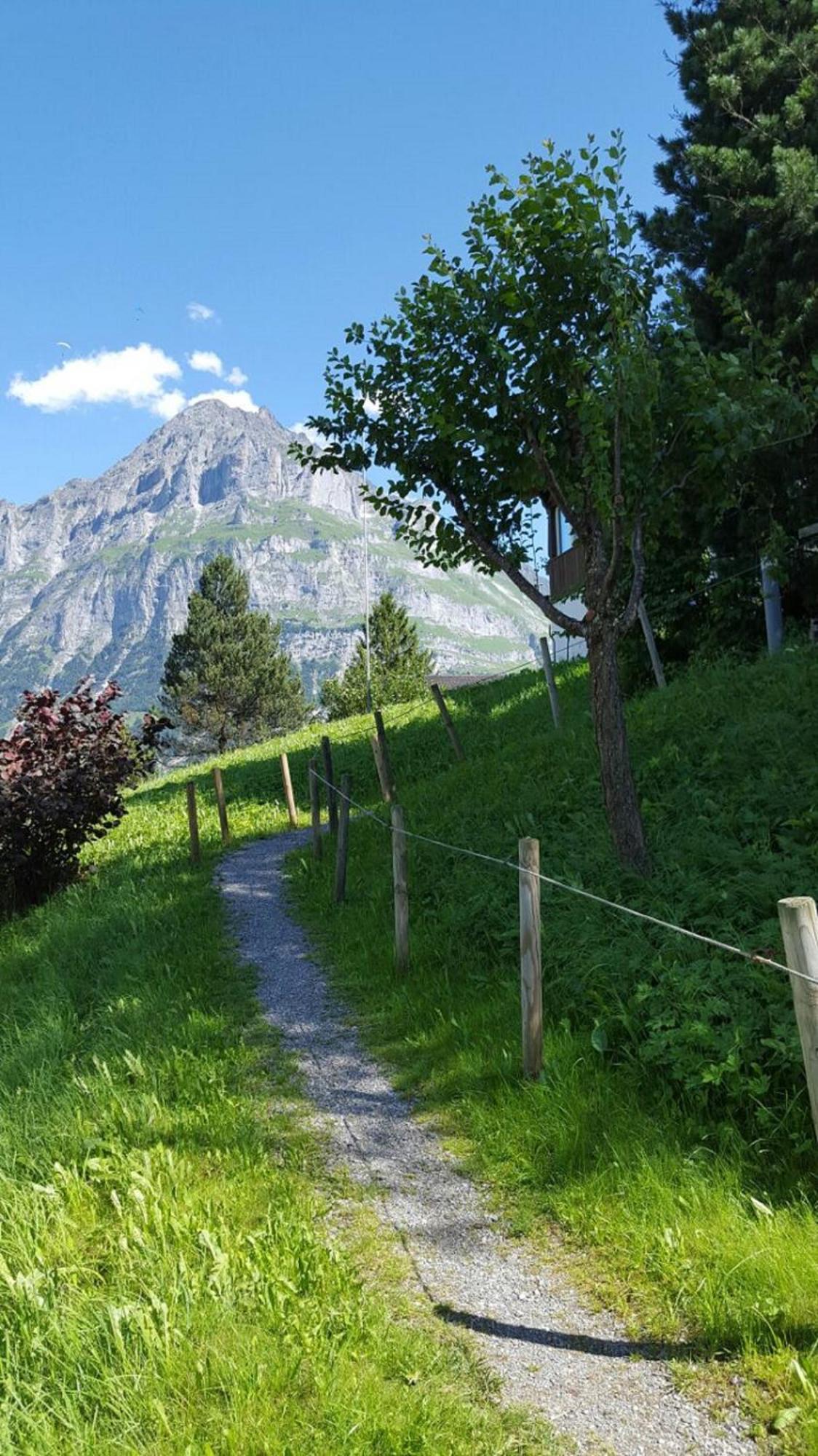 Chalet Waergistal Γκρίντελβαλντ Εξωτερικό φωτογραφία