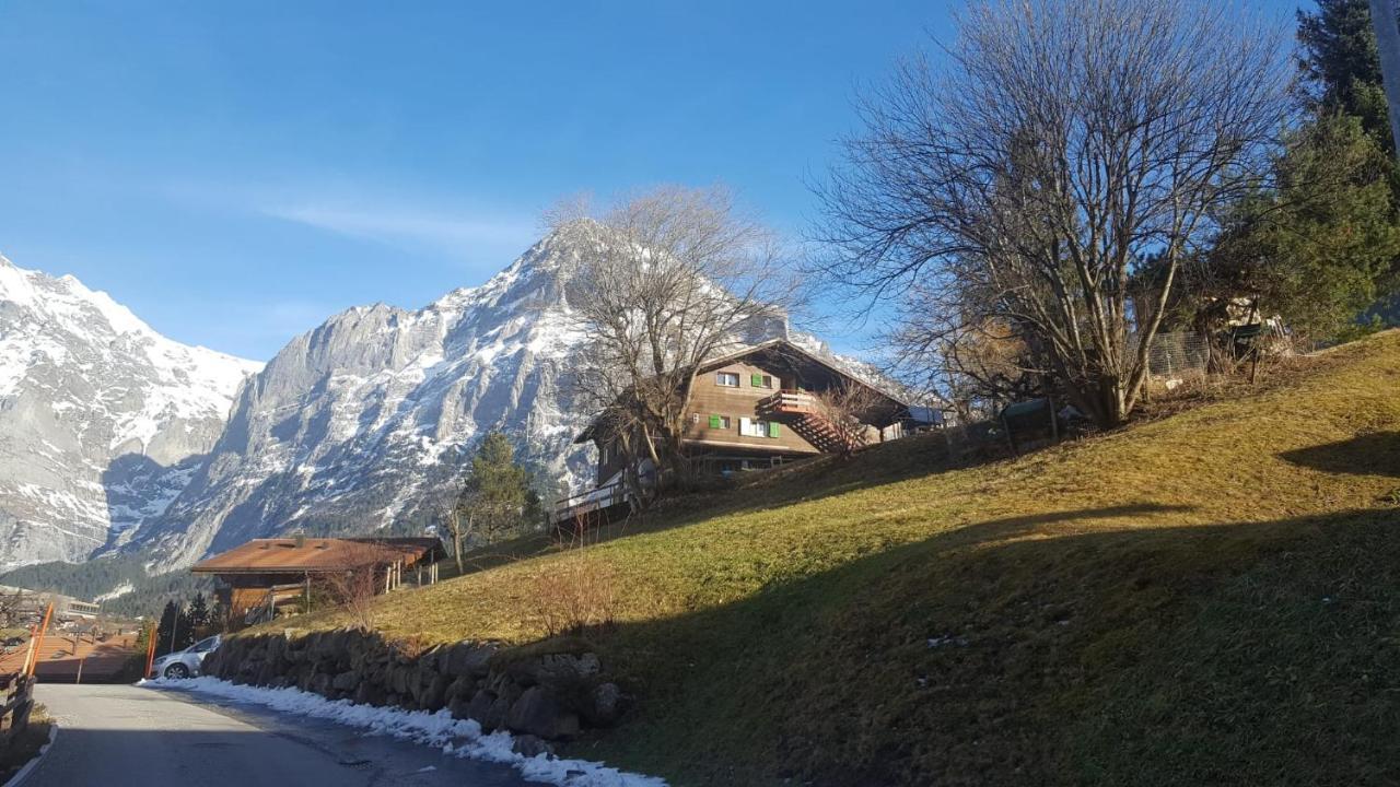 Chalet Waergistal Γκρίντελβαλντ Εξωτερικό φωτογραφία