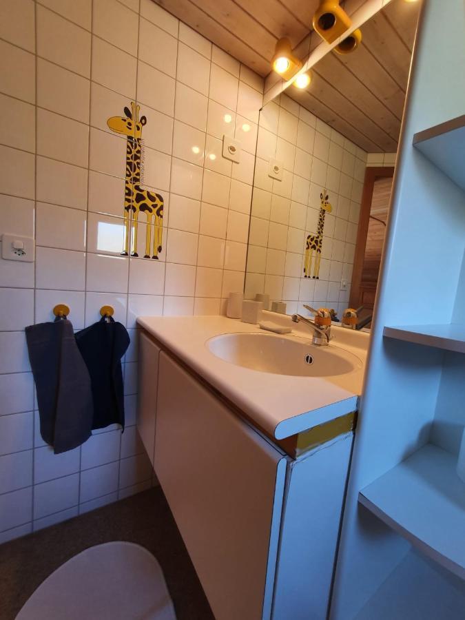 Chalet Waergistal Γκρίντελβαλντ Εξωτερικό φωτογραφία