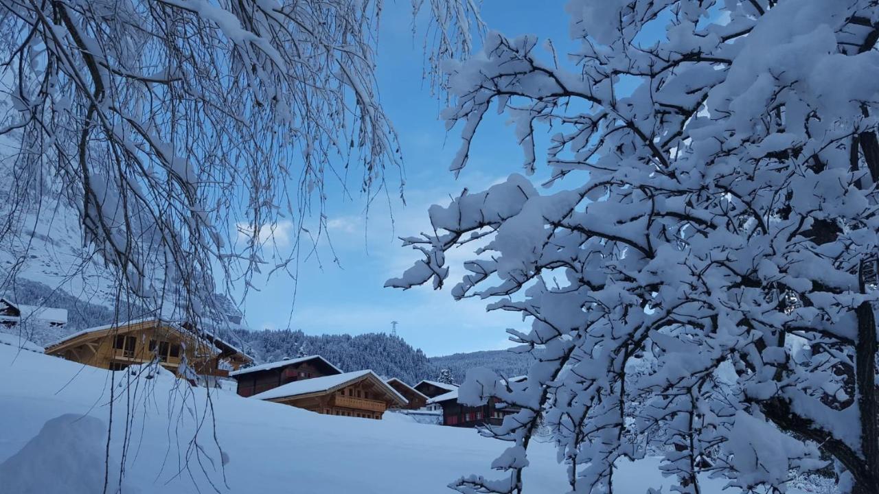 Chalet Waergistal Γκρίντελβαλντ Εξωτερικό φωτογραφία