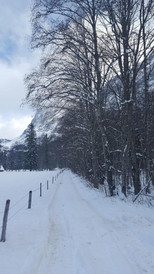 Chalet Waergistal Γκρίντελβαλντ Εξωτερικό φωτογραφία
